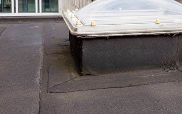 disadvantages of Shute flat roofs