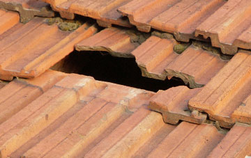 roof repair Shute, Devon