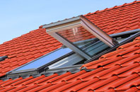 Shute roof window